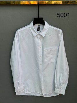 Базова класична сорочка на ґудзиках S-L (в кольорах) VN 5001 фото