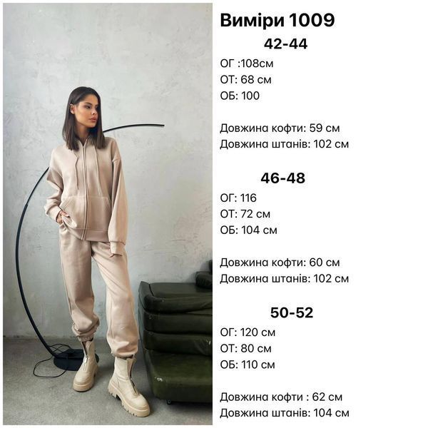 Теплый флисовый костюм из кофты и брюк 42-52 (в расцветках) CH 1009 фото