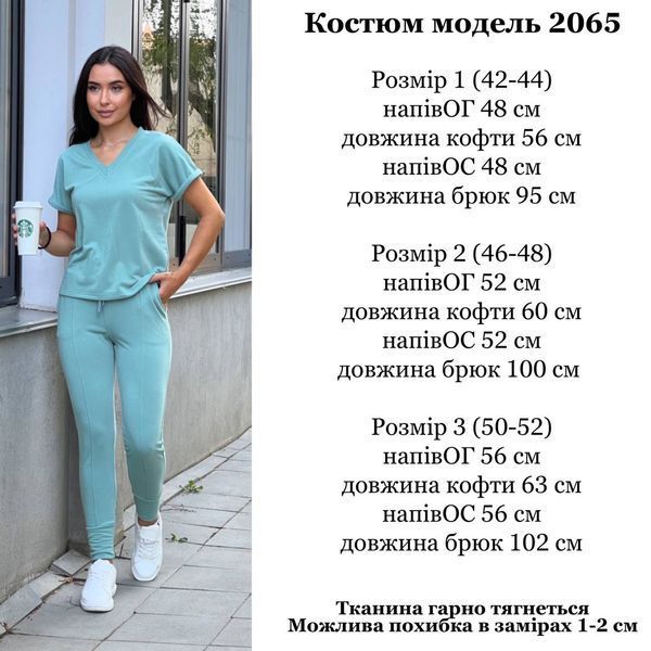 Модний однотонний костюм з футболки та штанів 42-52 (в кольорах) MN 2065 фото