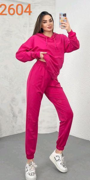 Однотонный спортивный костюм из худи и брюк S-L (в расцветках) ER LS 2604 фото
