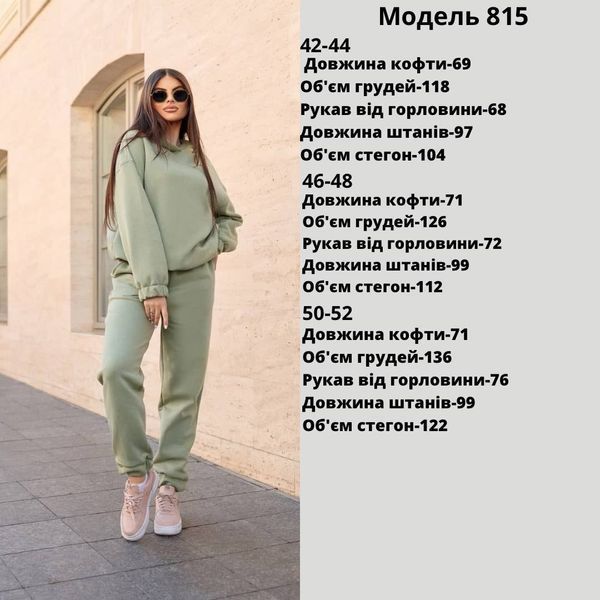 Стильный спортивный костюм из худи и брюк 50-52 (в расцветках) MD 815/1 фото