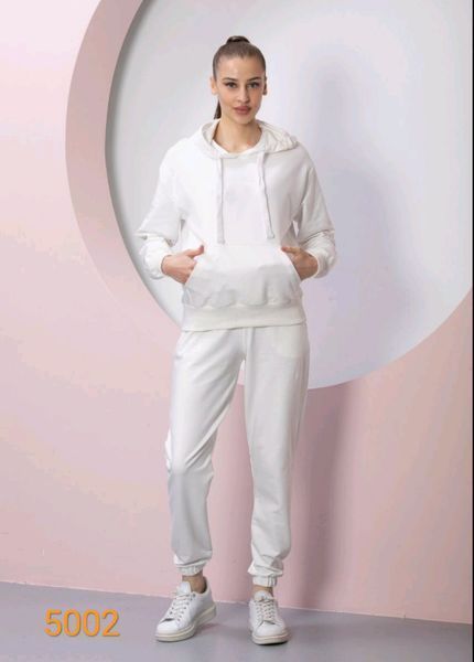 Спортивний трикотажний костюм з худі та штанів S-XL (в кольорах) ER 5002/11 фото