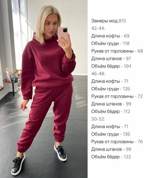 Теплий спортивний костюм з тринитки 42-48 (в кольорах) MD 815 фото