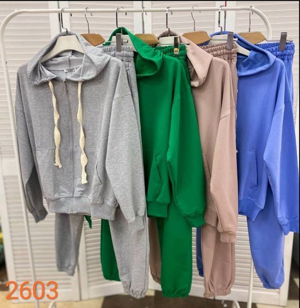 Однотонный спортивный костюм из толстовки и брюк S-L (в расцветках) ER 2603 фото