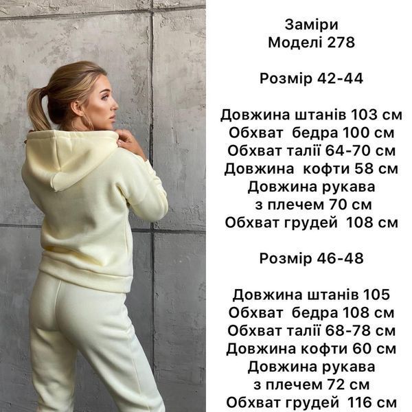 Женский спортивный костюм с карманом-кенгуру 42-48 (в расцветках) BB 278 фото