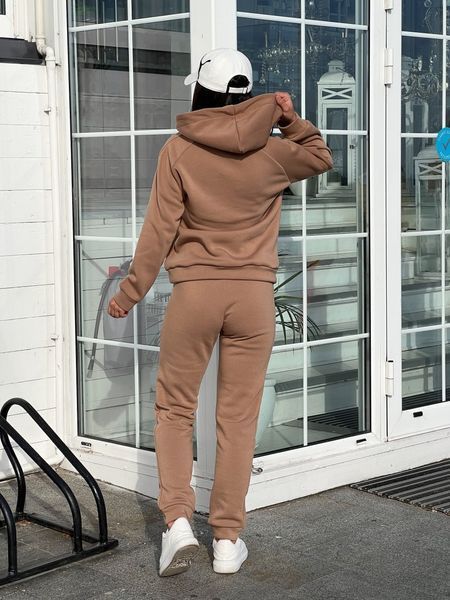 Теплый спортивный костюм на флисе 42-52 (в расцветках) MN 3006 фото