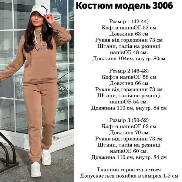 Теплый спортивный костюм на флисе 42-52 (в расцветках) MN 3006 фото