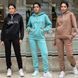 Теплый спортивный костюм на флисе 42-52 (в расцветках) MN 3006 фото 25