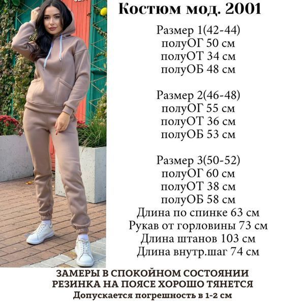 Однотонный флисовый костюм из худи и брюк 42-52 (в расцветках) MN 2001 фото